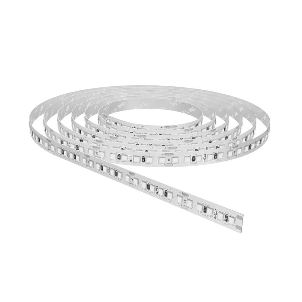 LED traka Plusline 16W 180 dioda/m 24V 6500K Hladno bela IP20