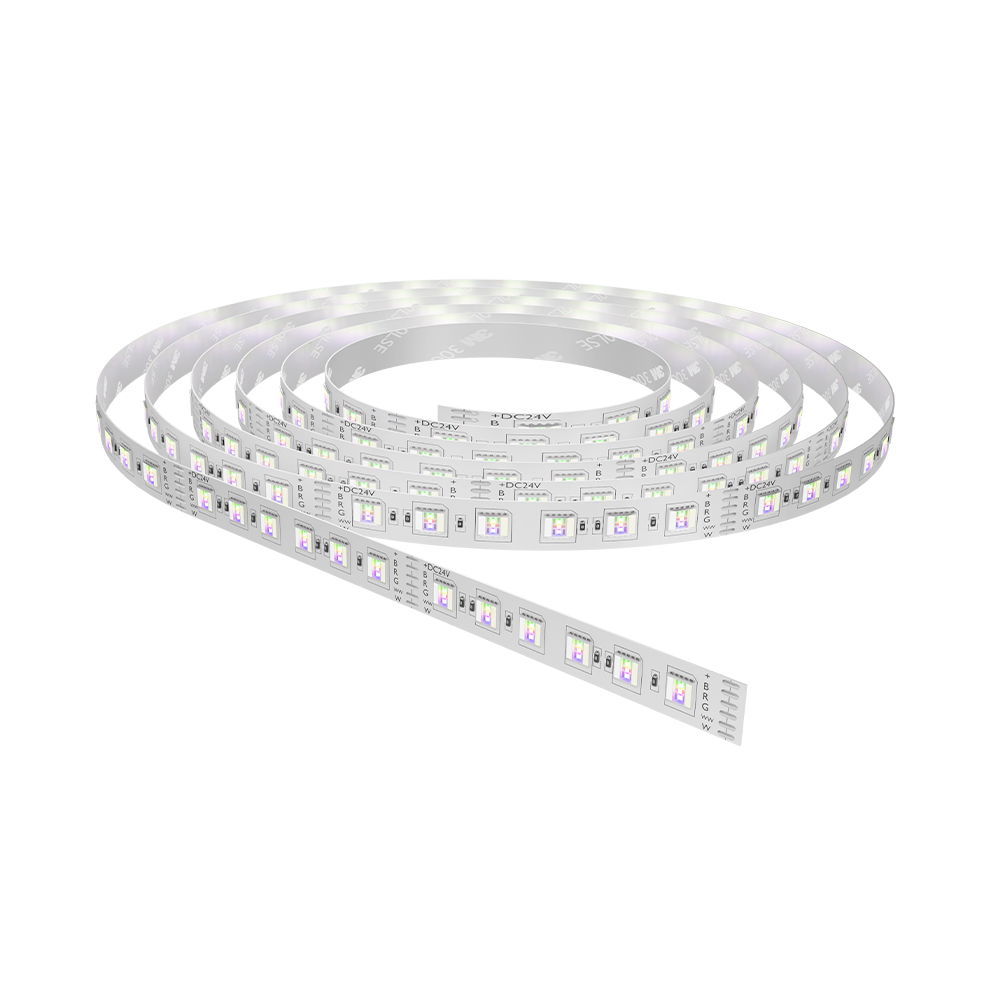 LED traka Plusline RGBW + hladno bela 12W 96 dioda/m 24V IP20